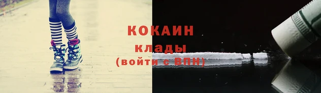 сатива Богданович