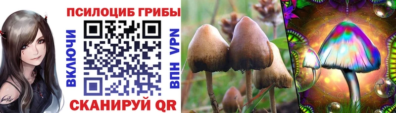 Псилоцибиновые грибы Cubensis  маркетплейс формула  Болхов 