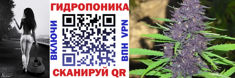 Бошки марихуана White Widow  Болхов 
